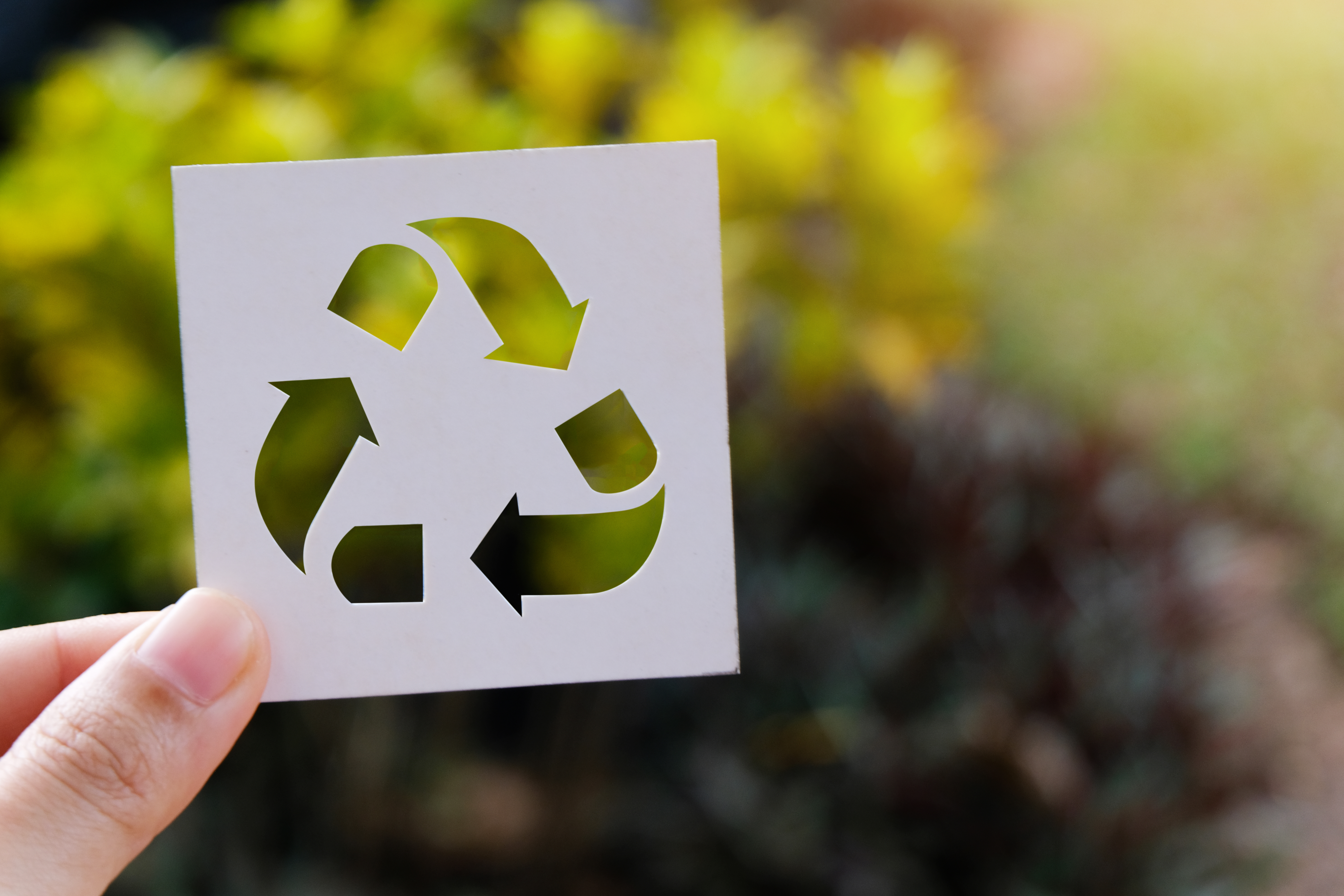 who cares who does; sustentabilidade; brasil; latam