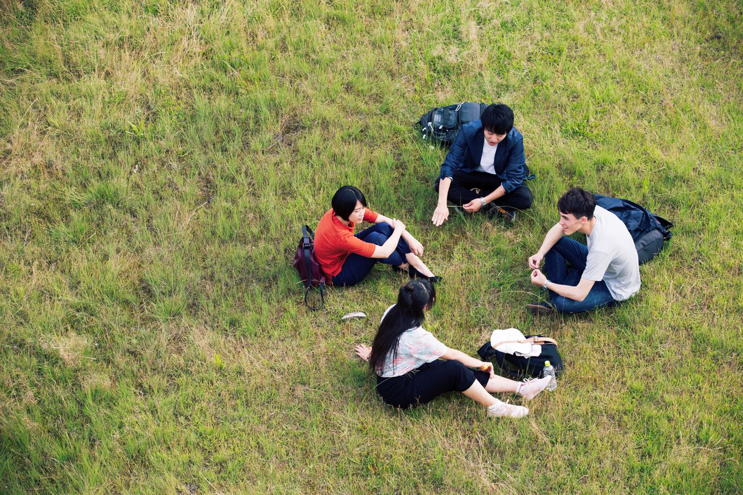Students are talking in circles