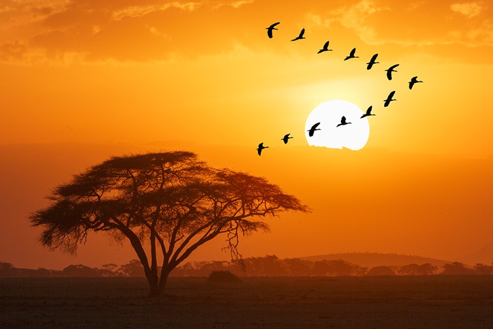 Kantar sostenibilidad