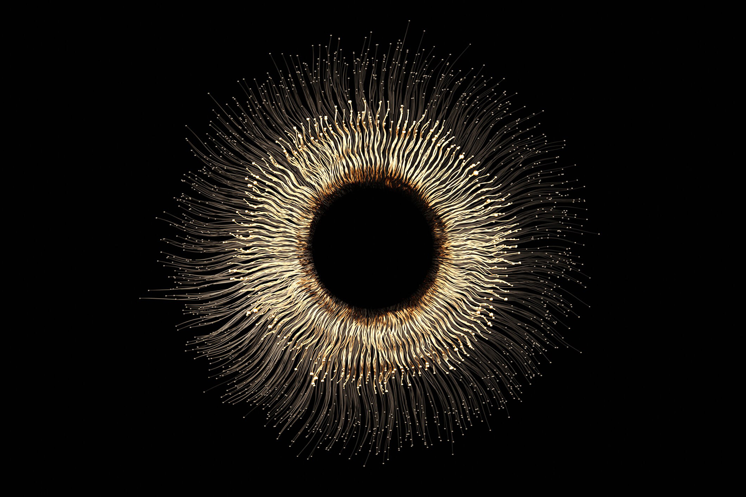 CPV Audiences Unlocked