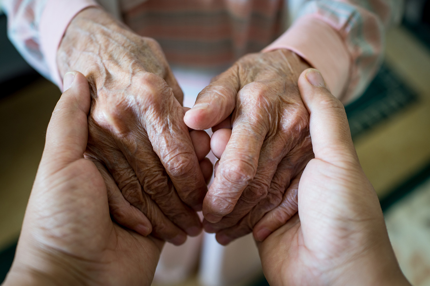 Estudio perfil del donante en España 2022