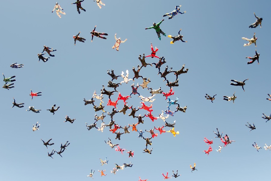 Observatoire du Management 2019