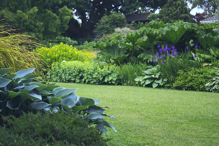 L'entretien et l'aménagement des jardins et terrasses en 2019