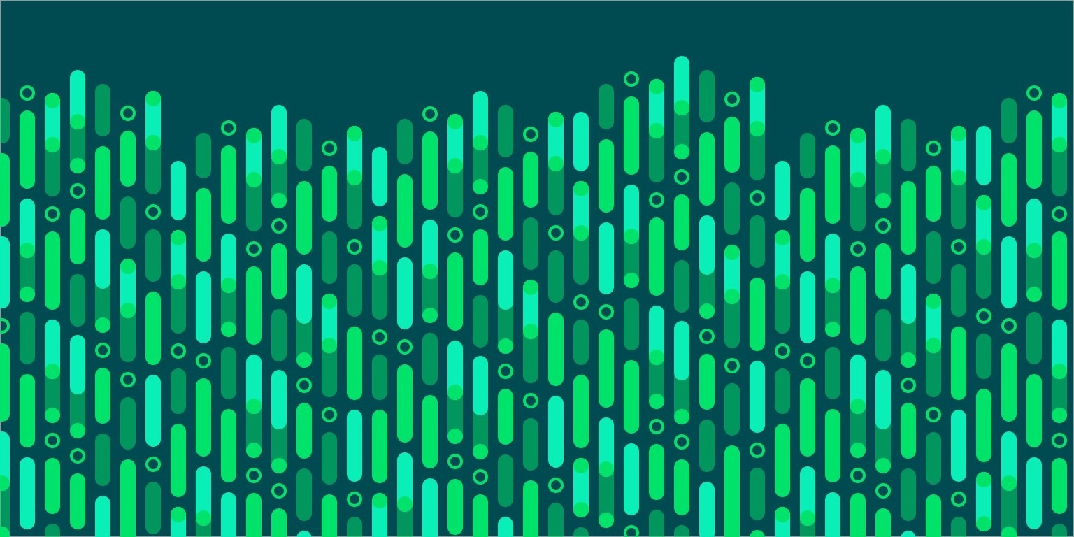 TurtlWhatthefrenchchapter