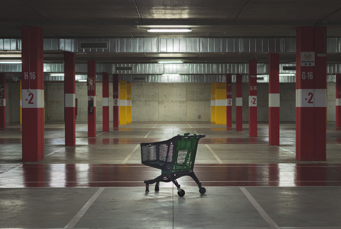 TurtlWhatthefrenchchapter