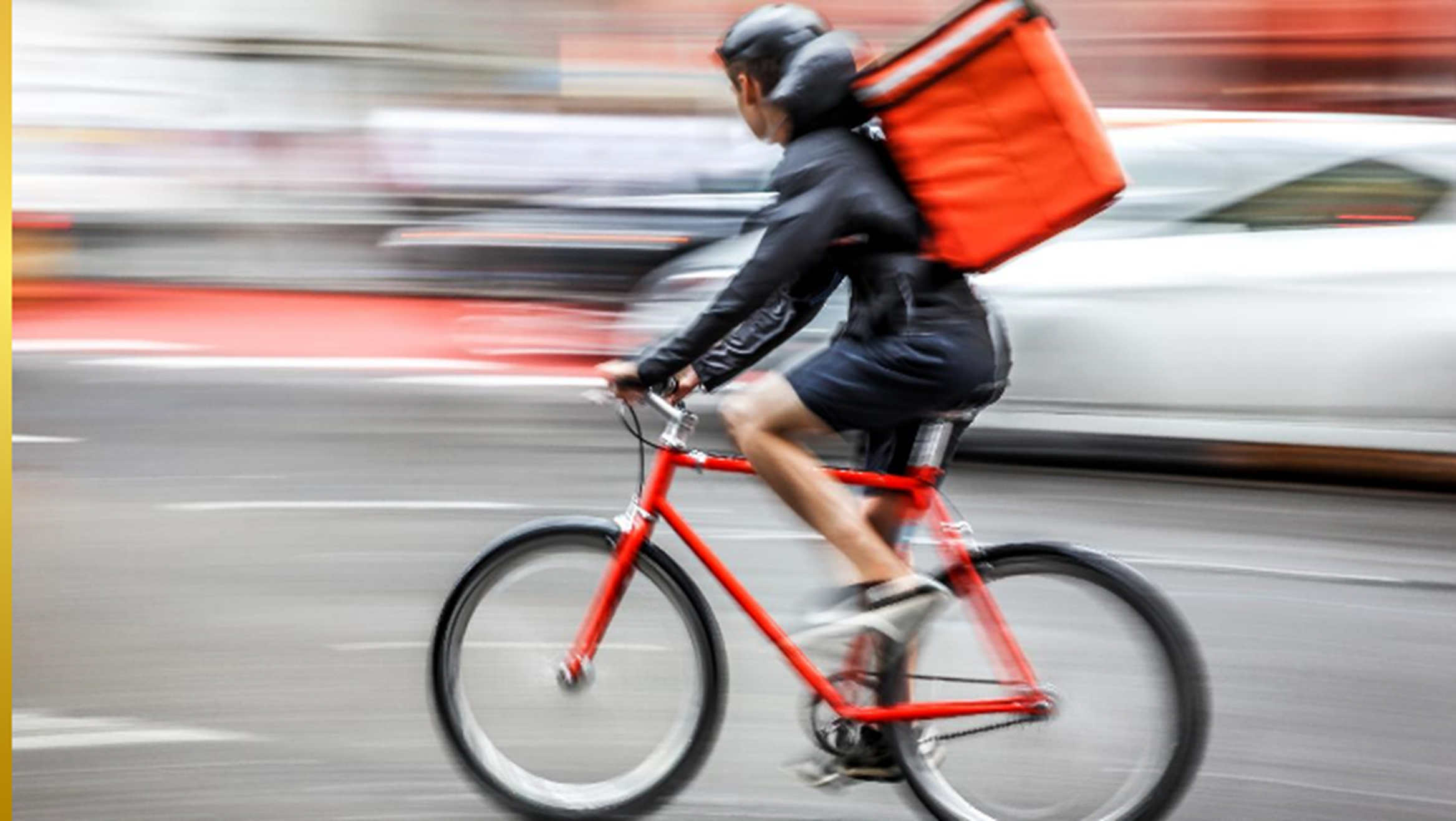 TurtlWhatthefrenchchapter