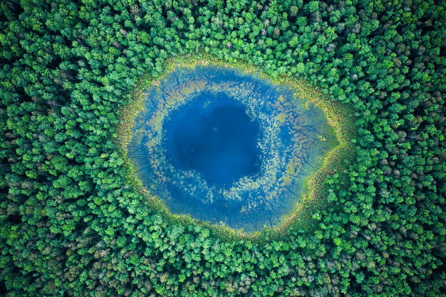 Transition circulaire