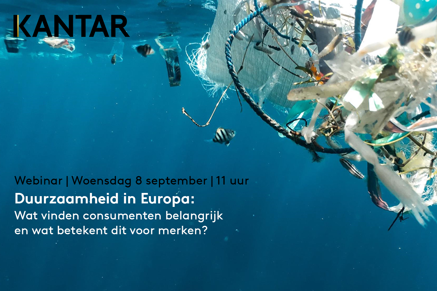 Webinar | Duurzaamheid in Europa: wat vinden consumenten belangrijk en wat betekent dit voor merken?