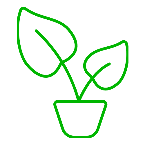 SSI icon4