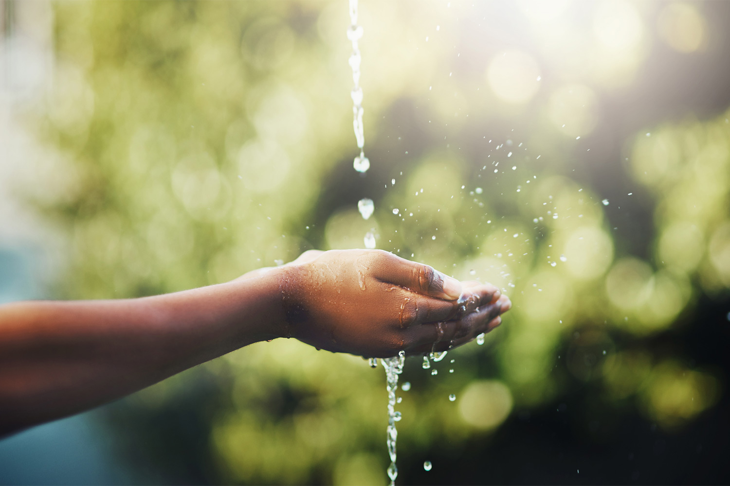 Unleashing potential: the power of social business accelerators