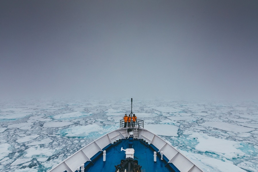 COP 27 brand actions