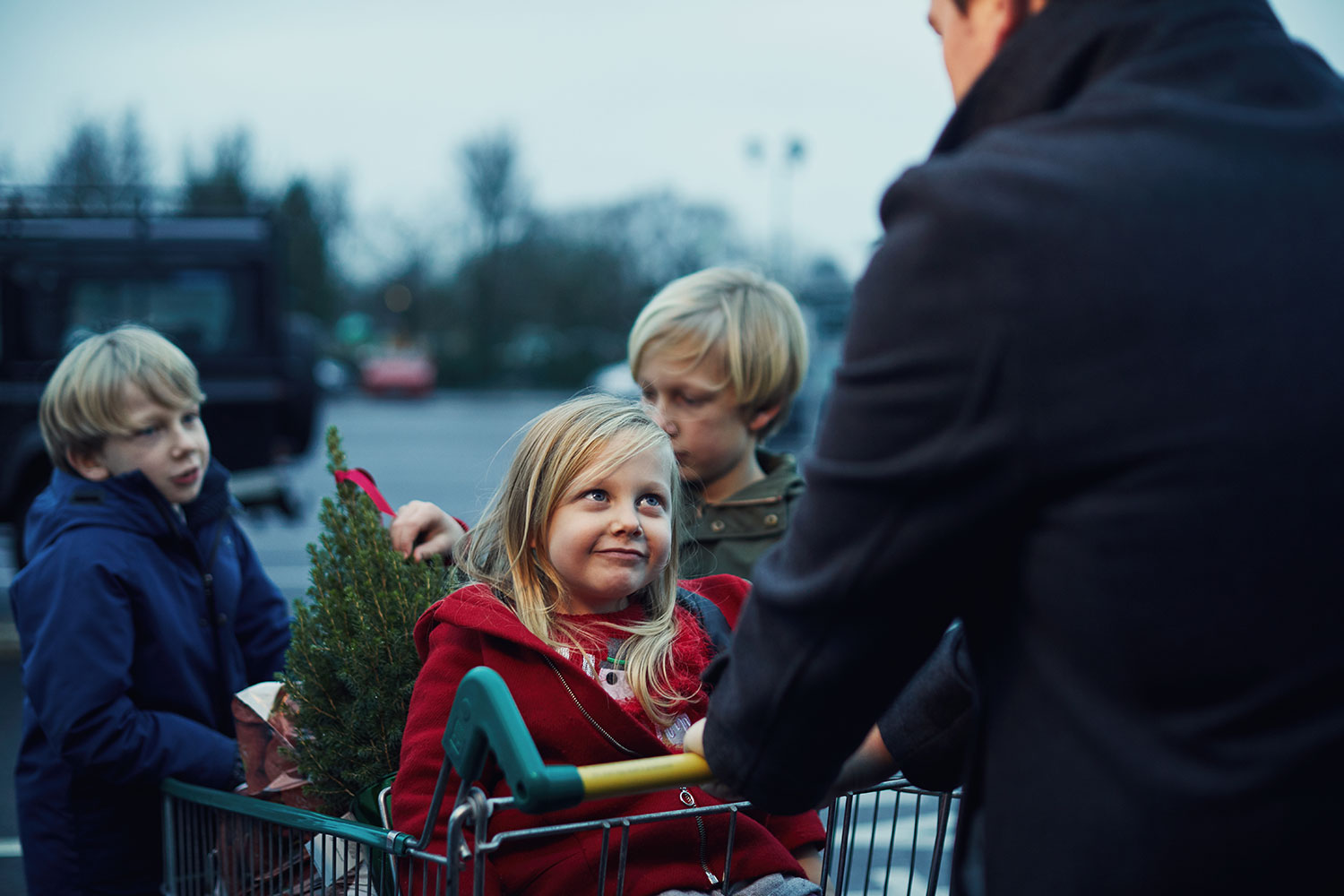 Ireland grocery market share Dec 2020
