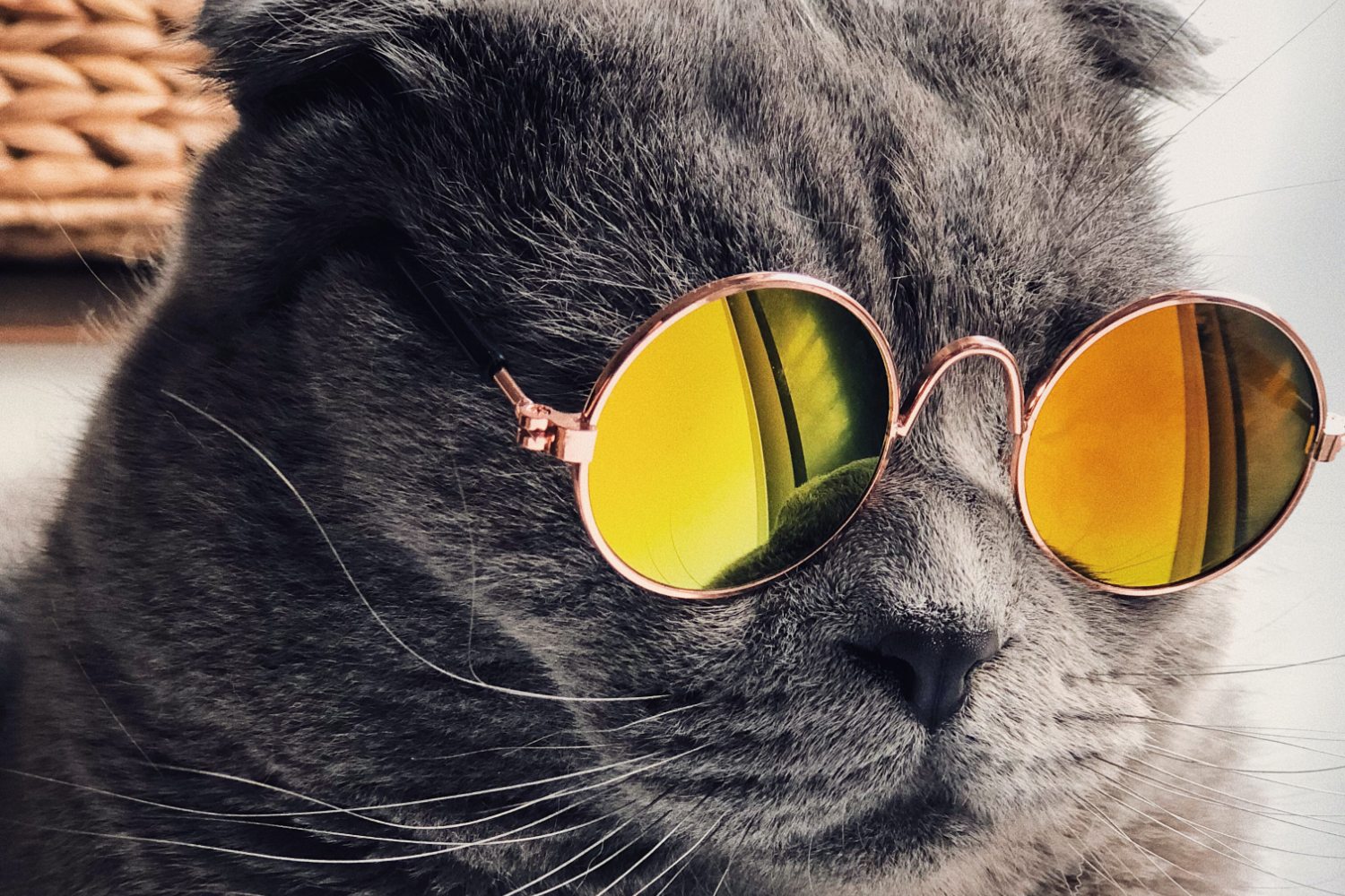 niche online audiences uk